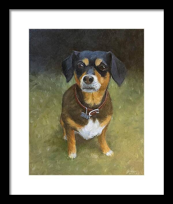 Jax - Framed Print