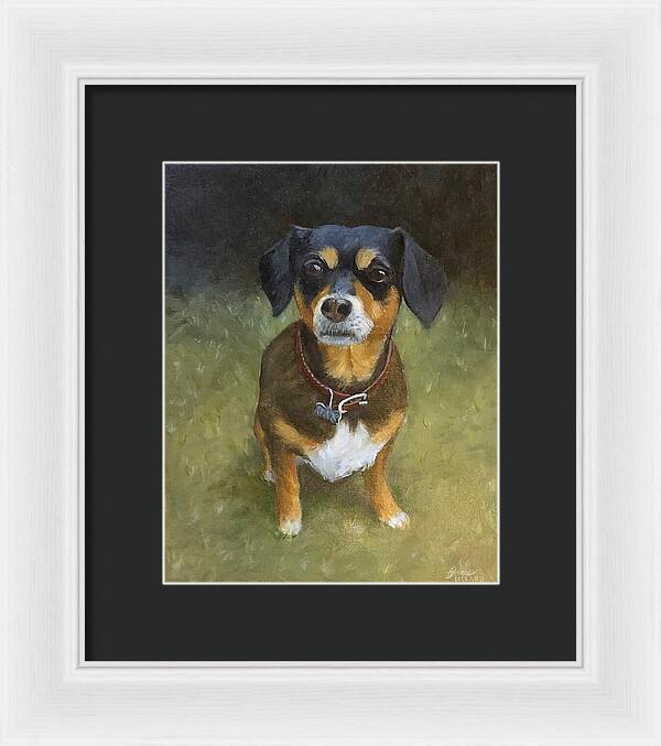 Jax - Framed Print