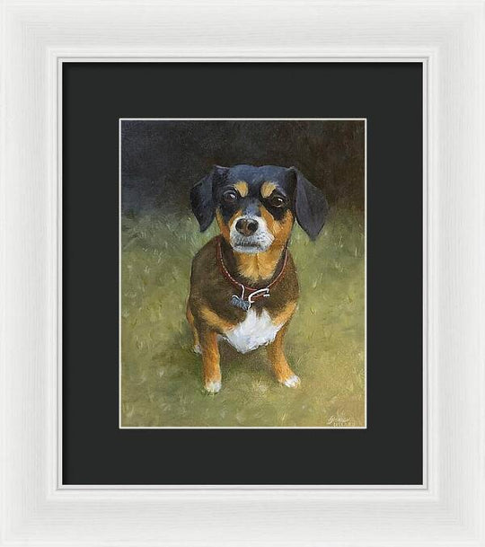Jax - Framed Print