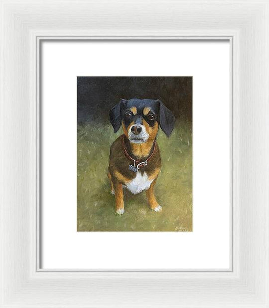 Jax - Framed Print
