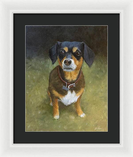 Jax - Framed Print