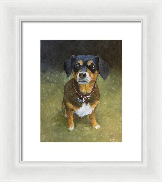 Jax - Framed Print