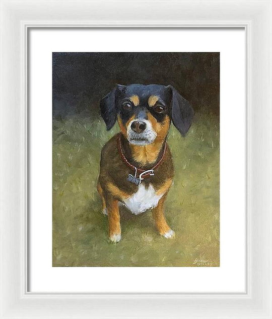 Jax - Framed Print