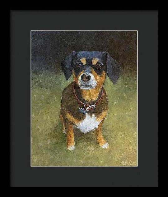 Jax - Framed Print