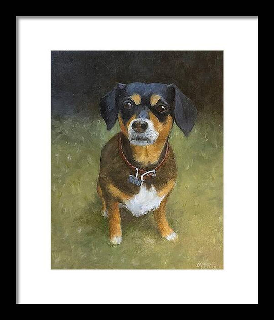 Jax - Framed Print
