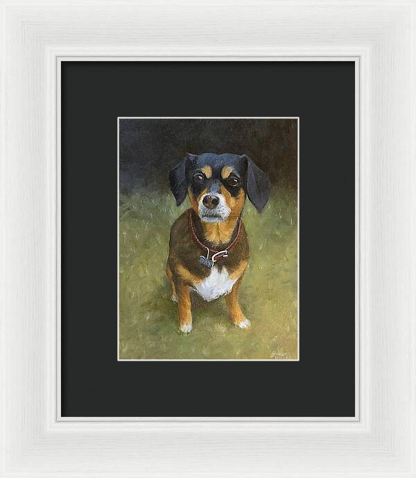 Jax - Framed Print