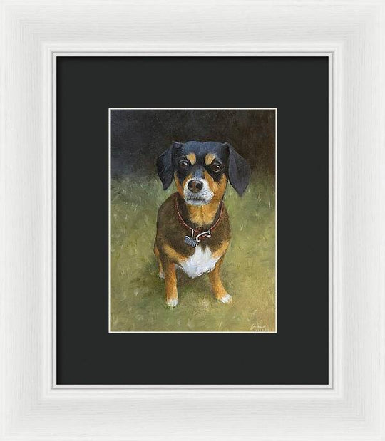 Jax - Framed Print