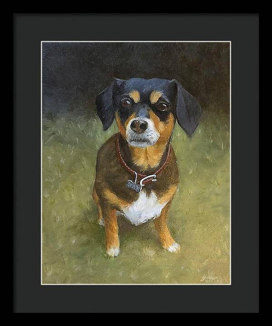 Jax - Framed Print