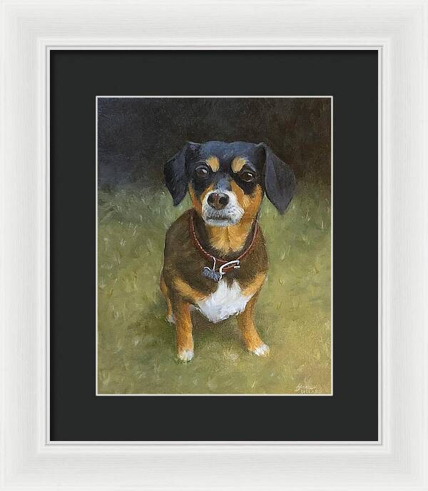 Jax - Framed Print