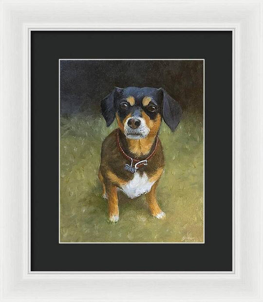 Jax - Framed Print