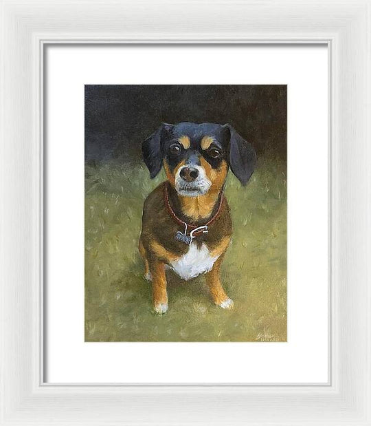 Jax - Framed Print