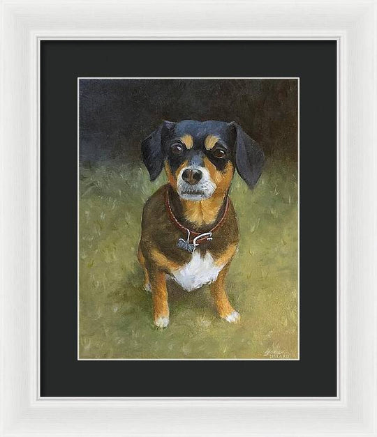 Jax - Framed Print
