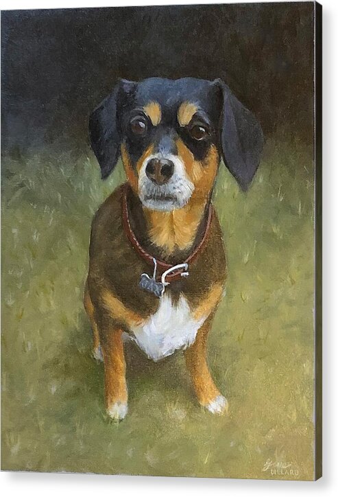 Jax - Acrylic Print