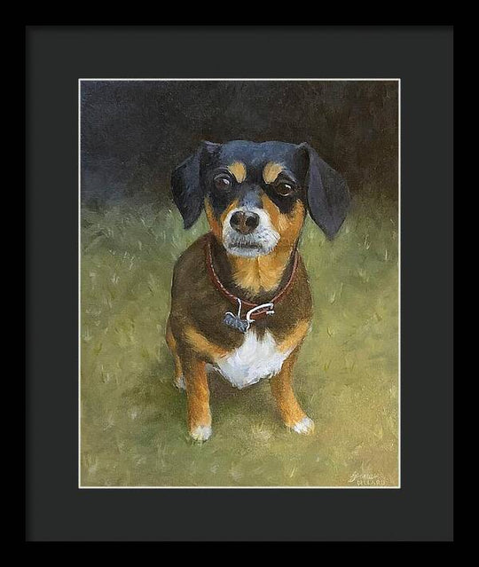 Jax - Framed Print