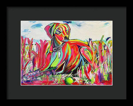 Lexi - Framed Print