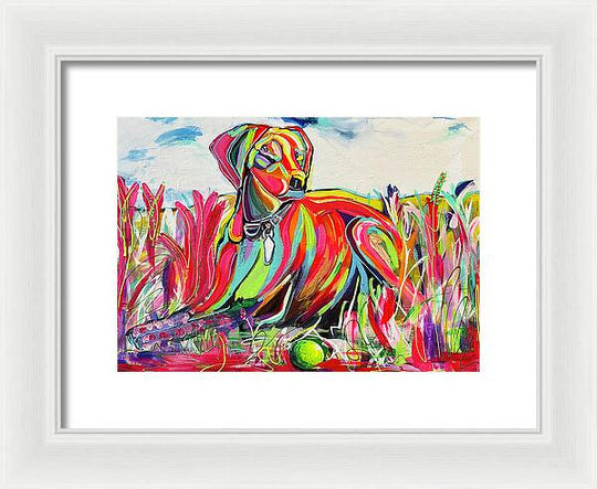 Lexi - Framed Print