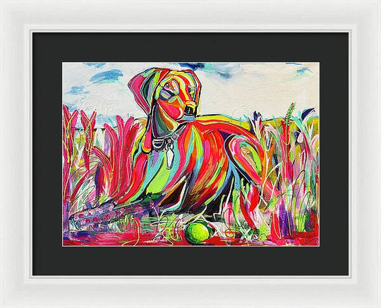 Lexi - Framed Print