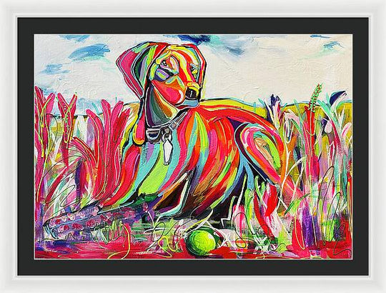 Lexi - Framed Print