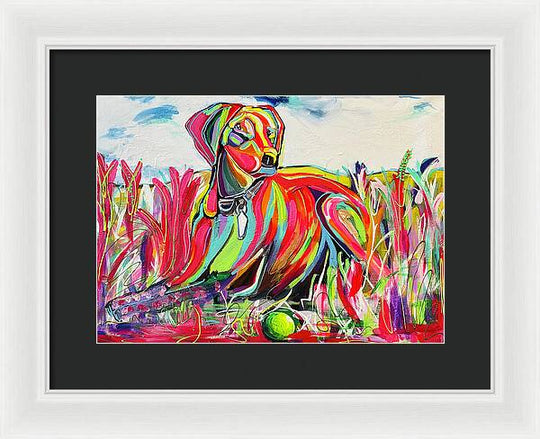 Lexi - Framed Print