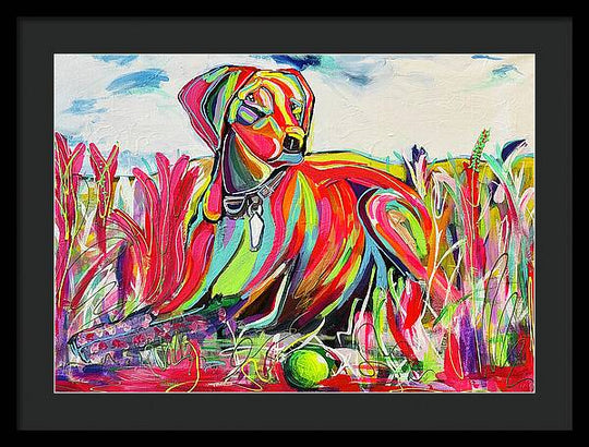 Lexi - Framed Print