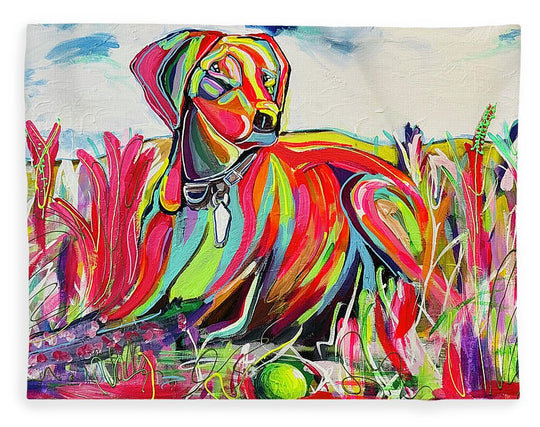 Lexi - Blanket