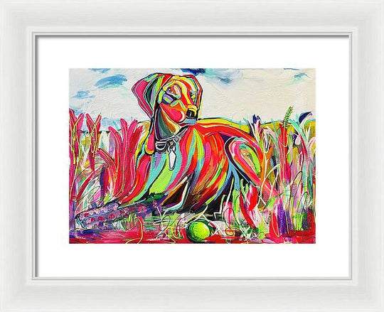Lexi - Framed Print