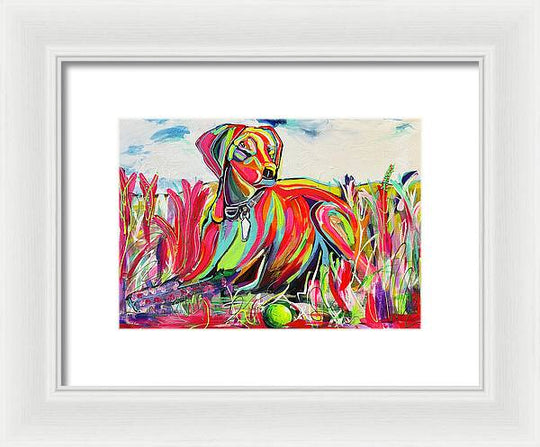 Lexi - Framed Print