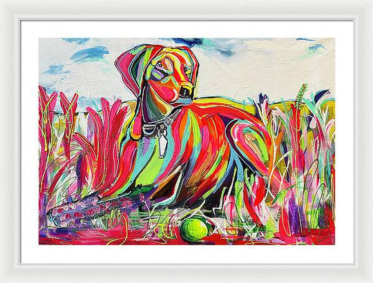 Lexi - Framed Print