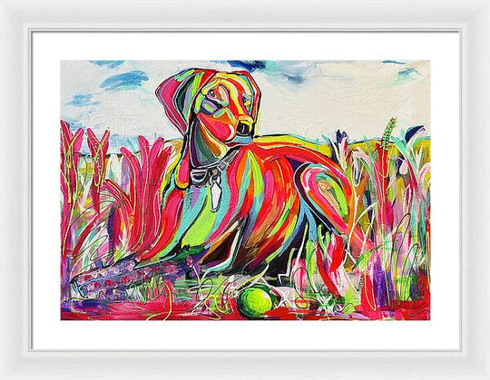 Lexi - Framed Print