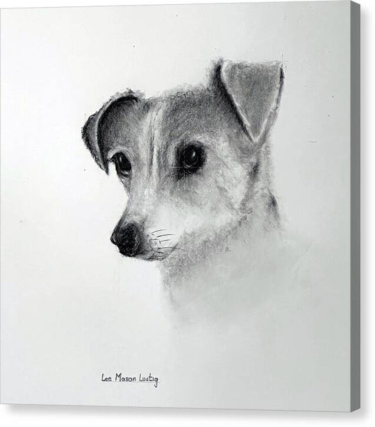 Lilly - Canvas Print