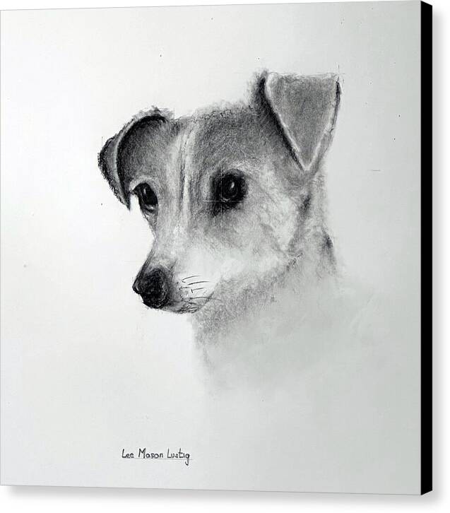 Lilly - Canvas Print