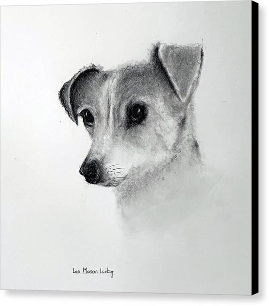 Lilly - Canvas Print