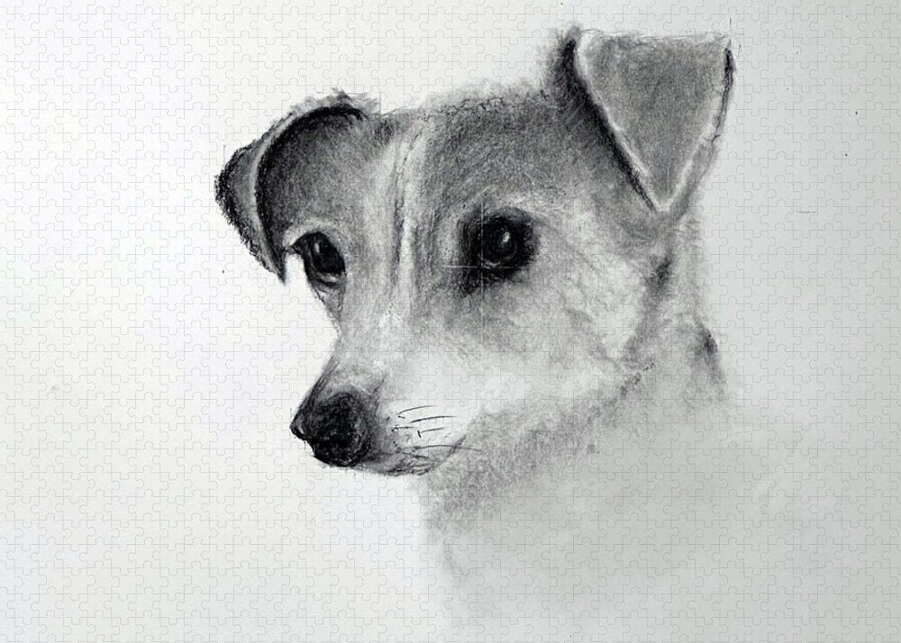 Lilly - Puzzle