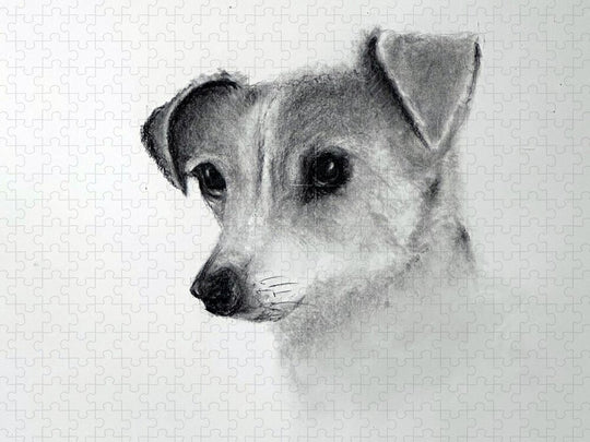 Lilly - Puzzle