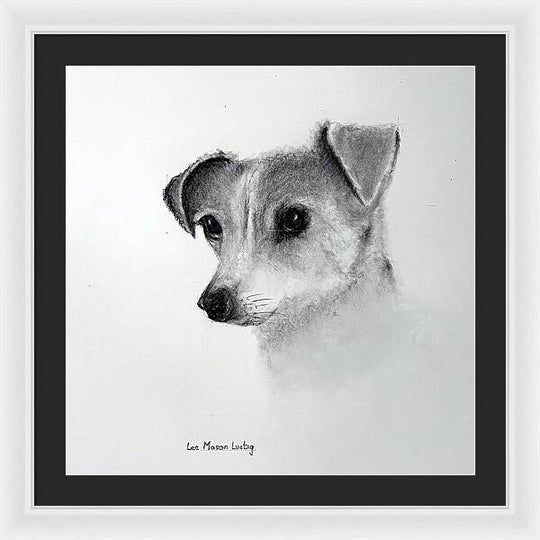 Lilly - Framed Print