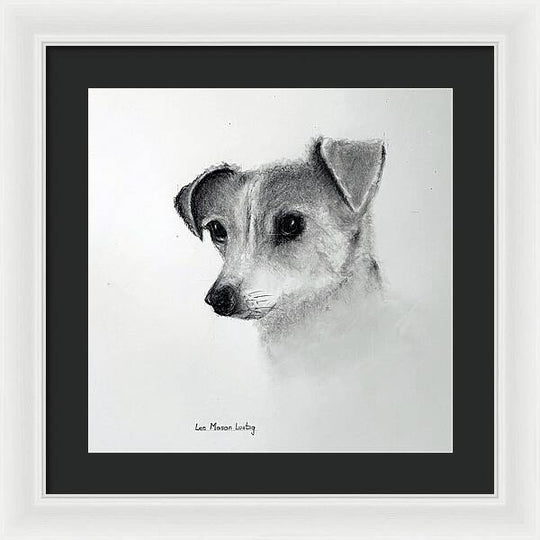 Lilly - Framed Print