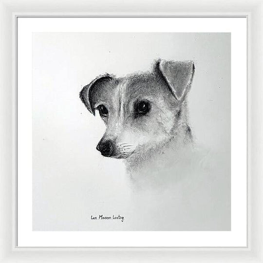 Lilly - Framed Print