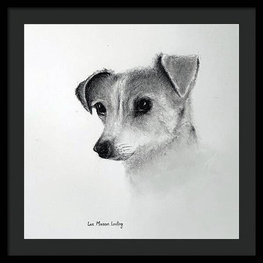 Lilly - Framed Print