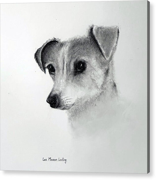 Lilly - Acrylic Print