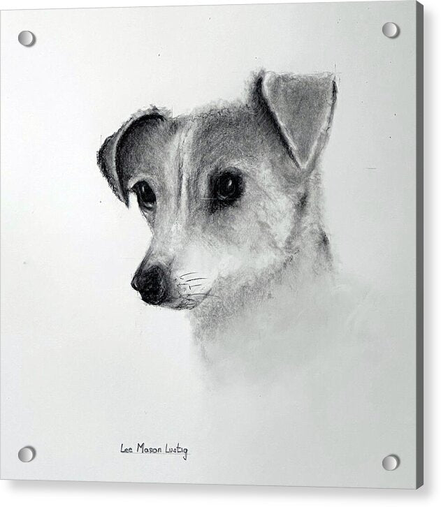 Lilly - Acrylic Print