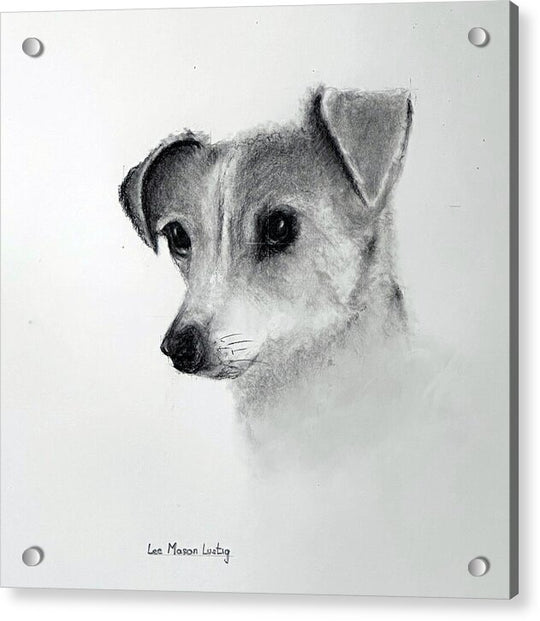 Lilly - Acrylic Print