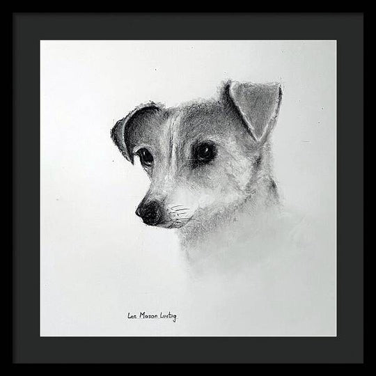 Lilly - Framed Print