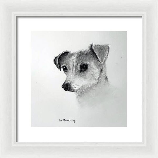 Lilly - Framed Print