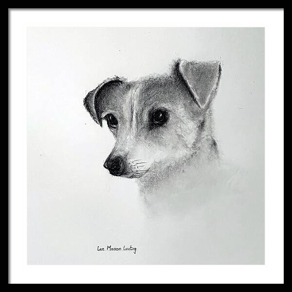 Lilly - Framed Print