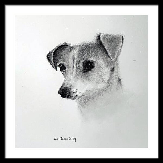 Lilly - Framed Print