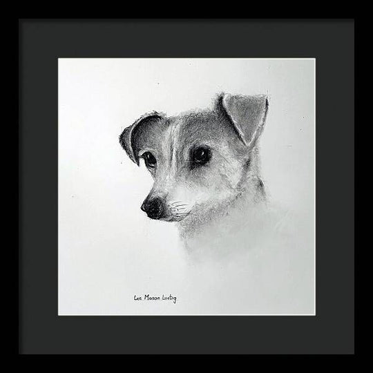 Lilly - Framed Print