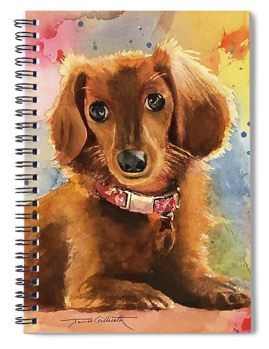 Longhair Dachsund - Spiral Notebook