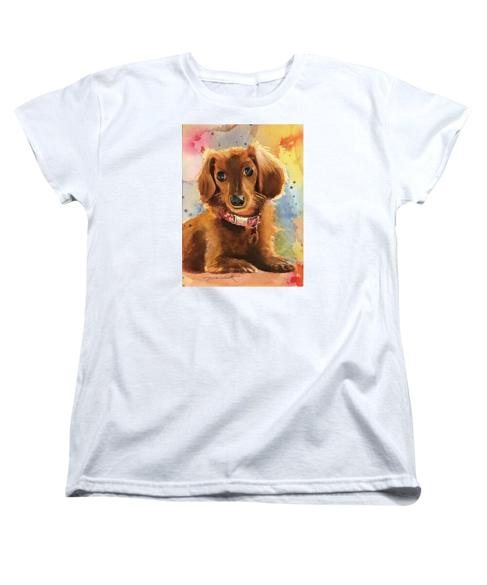 Longhair Dachsund - Women's T-Shirt (Standard Fit)