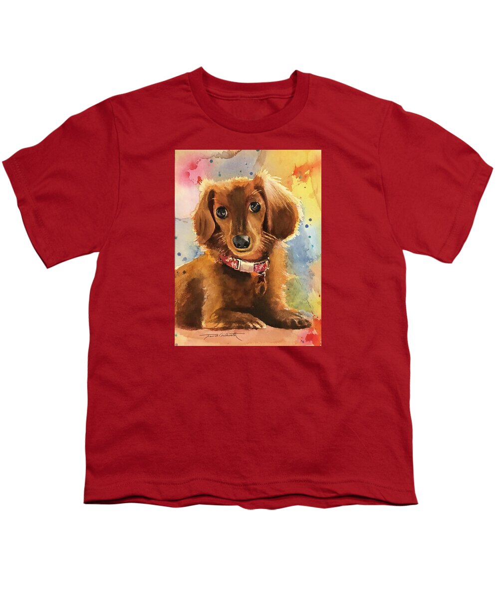 Longhair Dachsund - Youth T-Shirt