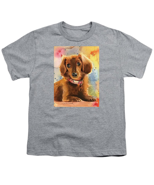 Longhair Dachsund - Youth T-Shirt
